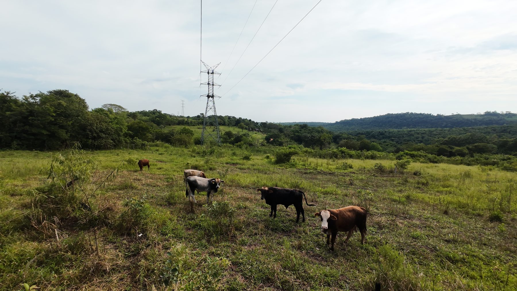 El campo, tal como está