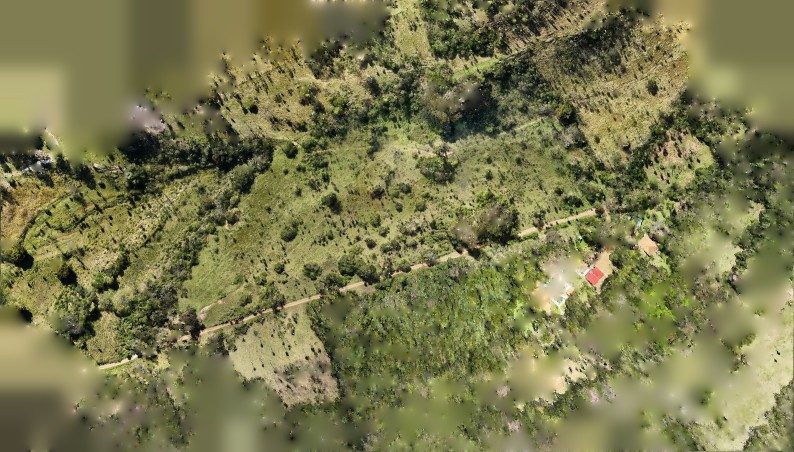 Ortofoto propia, 0,5 m por píxel